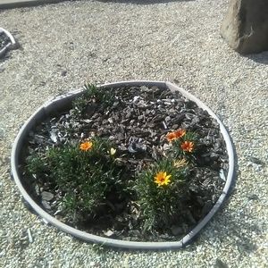 Meet your Posher, Darin